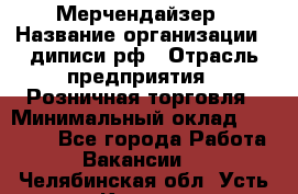 Мерчендайзер › Название организации ­ диписи.рф › Отрасль предприятия ­ Розничная торговля › Минимальный оклад ­ 25 000 - Все города Работа » Вакансии   . Челябинская обл.,Усть-Катав г.